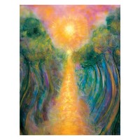 Namaste Blessings Toni Carmine Salerno knyga Blue Angel